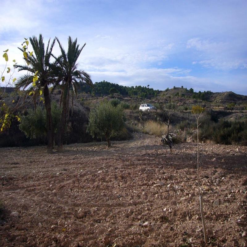 3 Bed Finca - Cortijo in Macisvenda