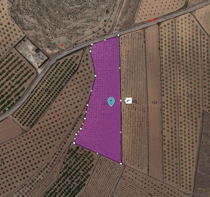 Land in Pinoso