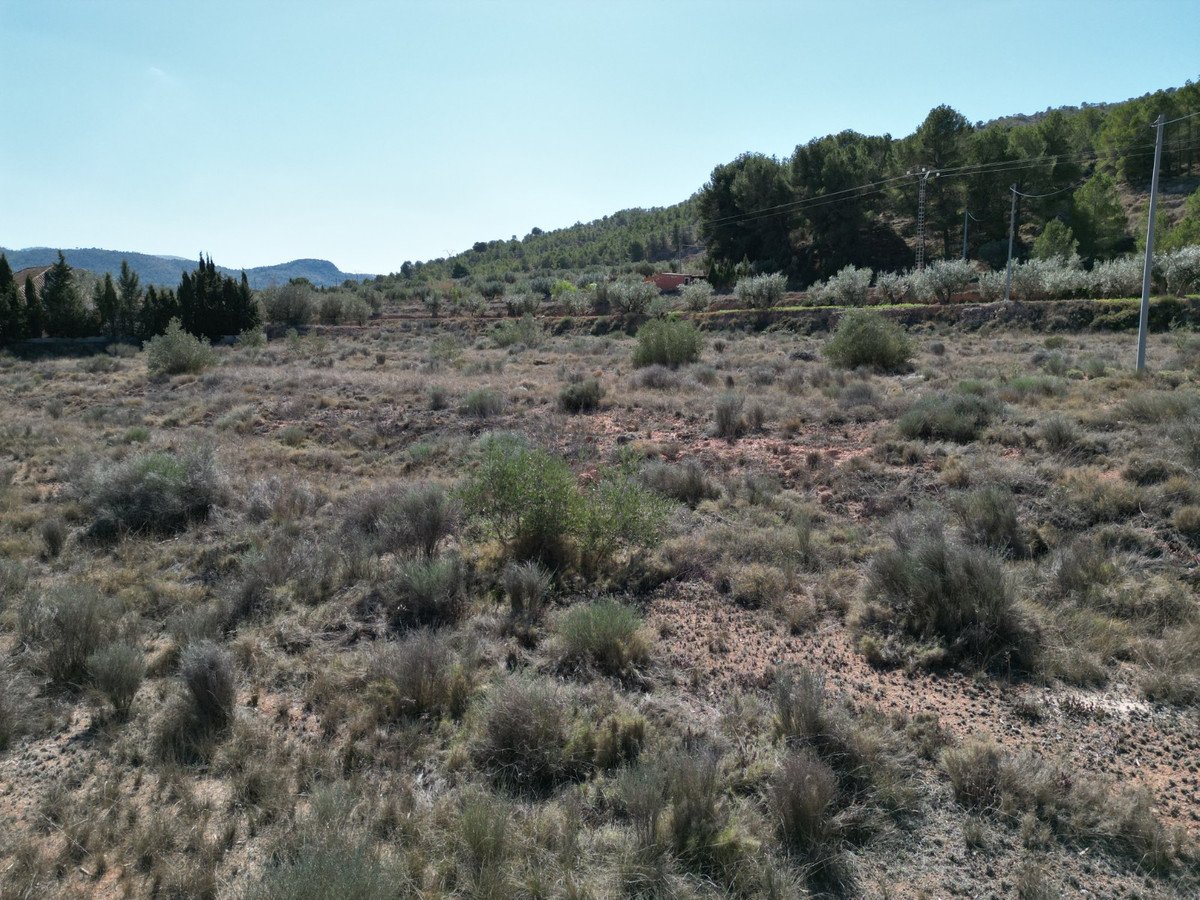 Land in Pinoso