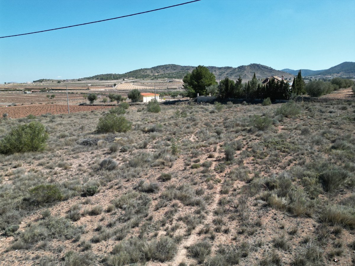 Land in Pinoso