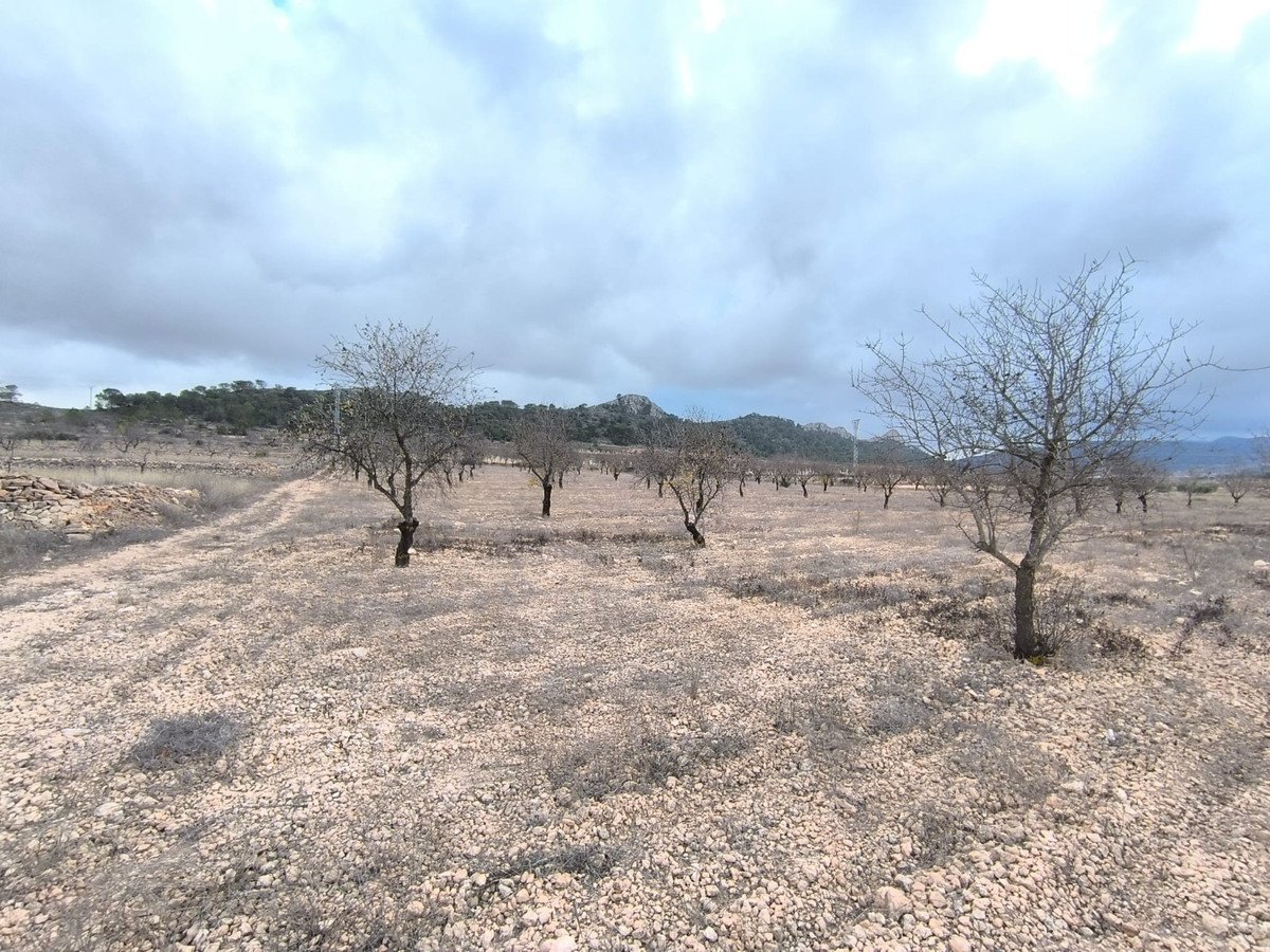 Land in La Solana