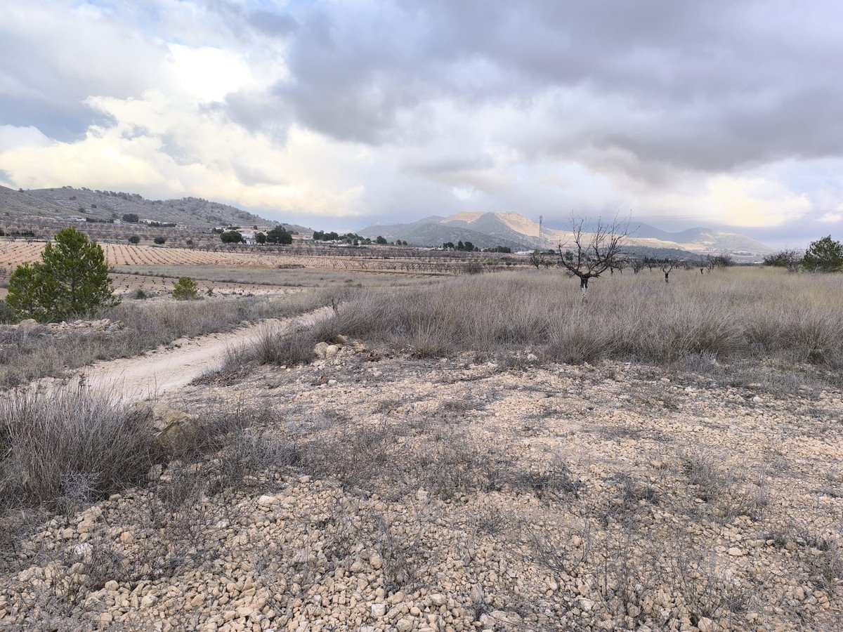Land in La Solana
