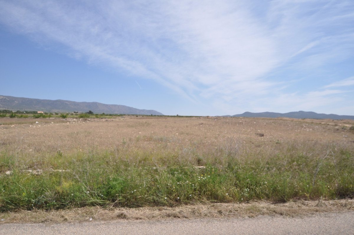 Land in Pinoso