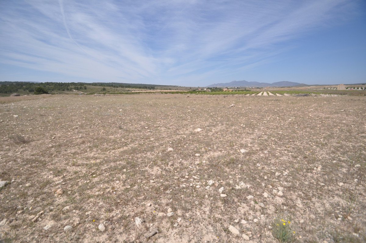 Land in Pinoso