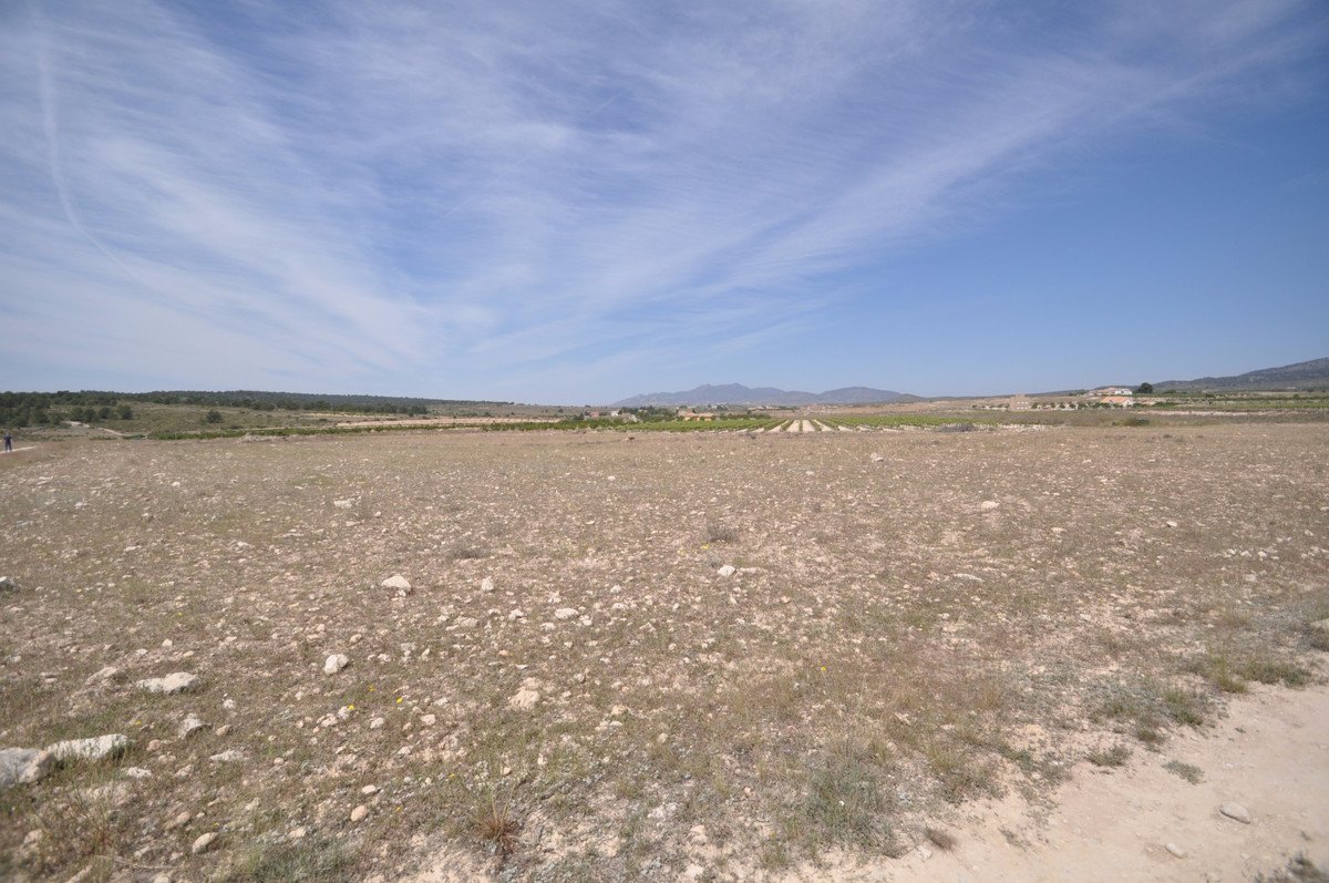 Land in Pinoso