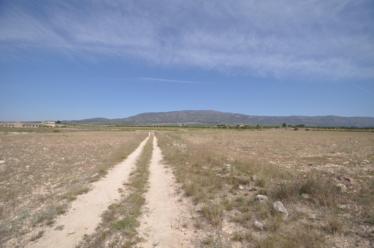 Land in Pinoso