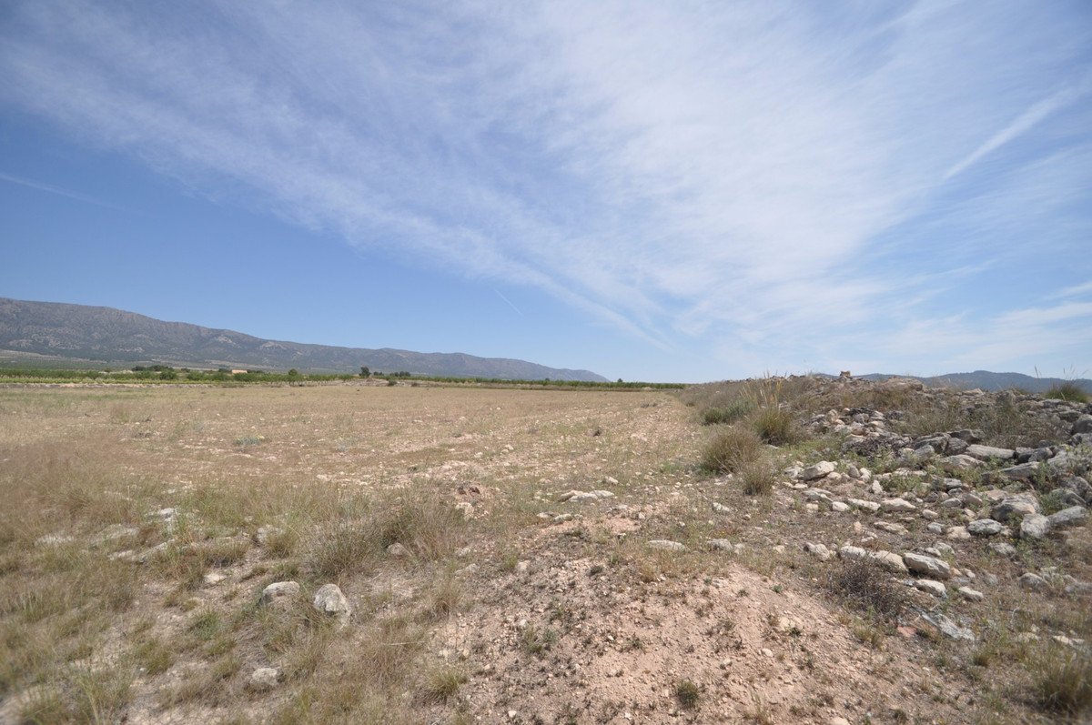 Land in Pinoso