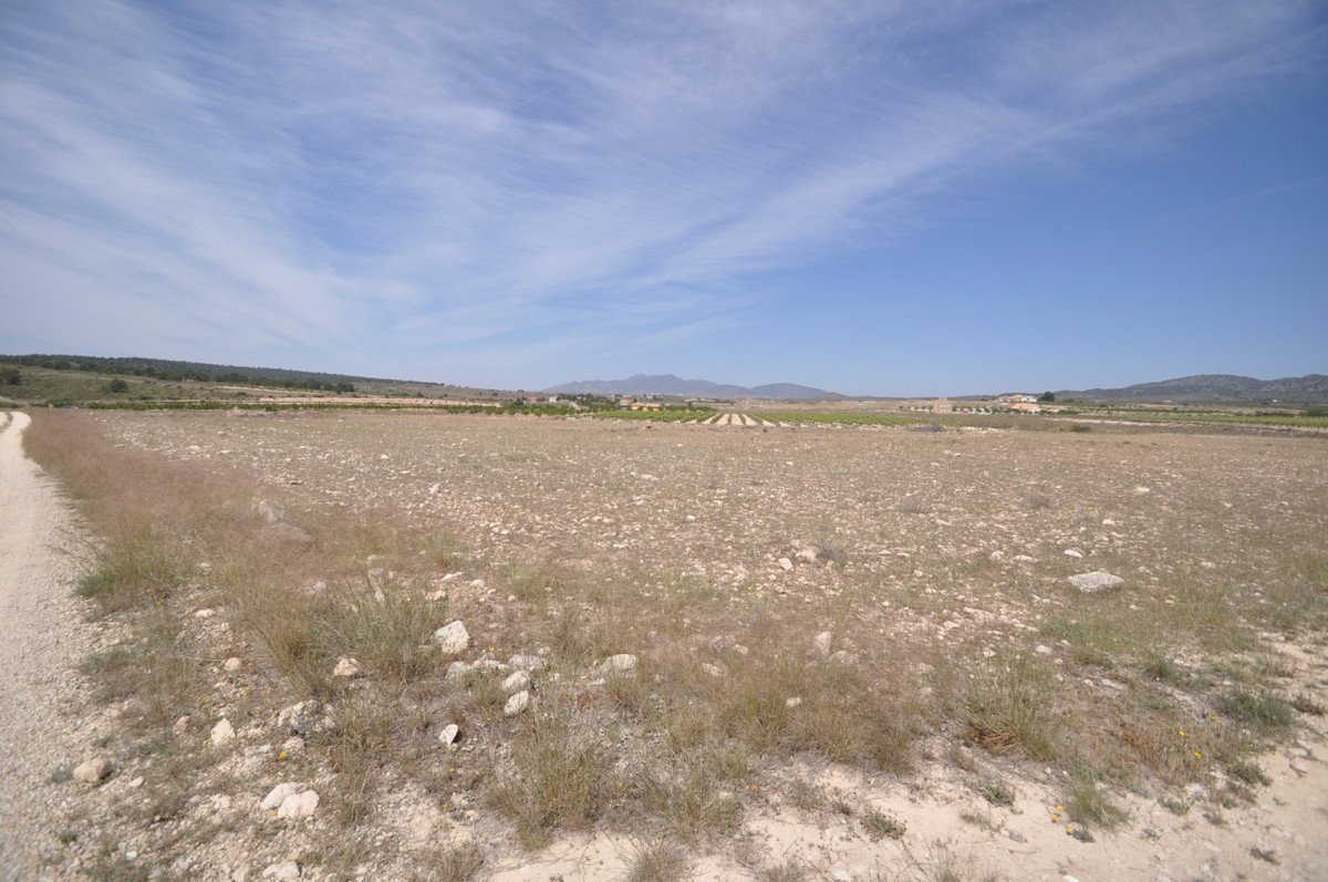 Land in Pinoso