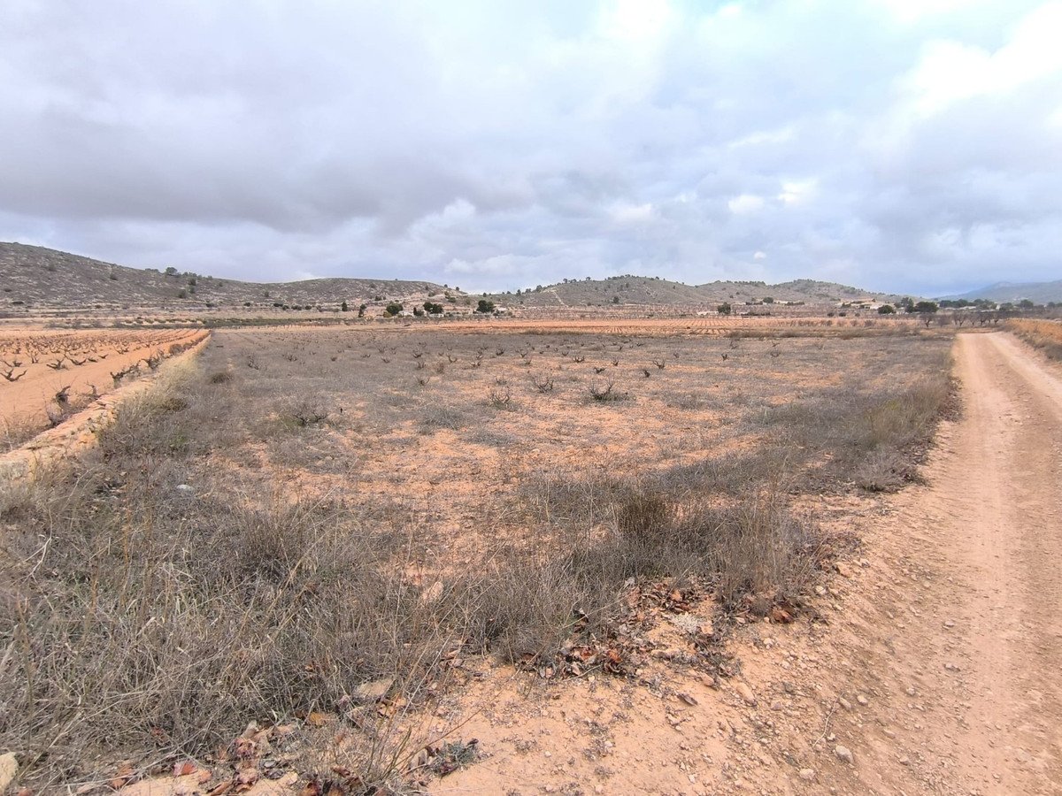 Land in La Solana