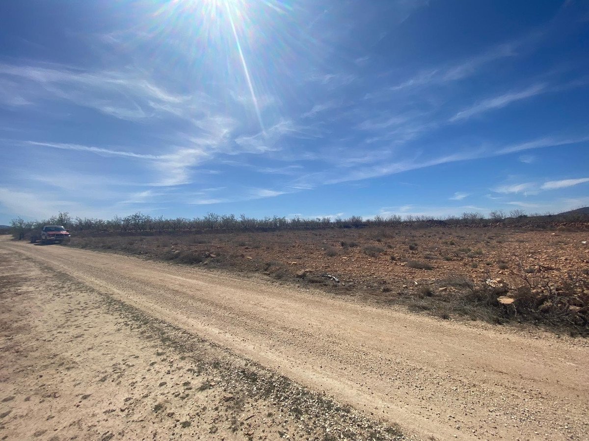 Land in Pinoso