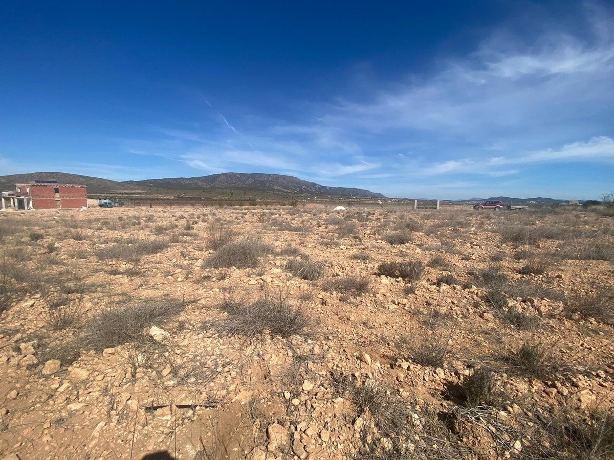 Land in Pinoso