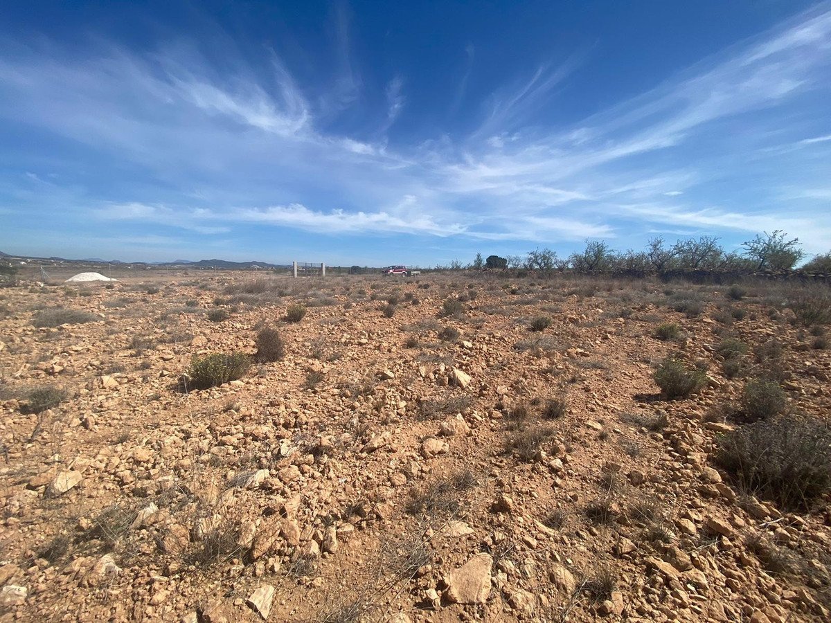 Land in Pinoso