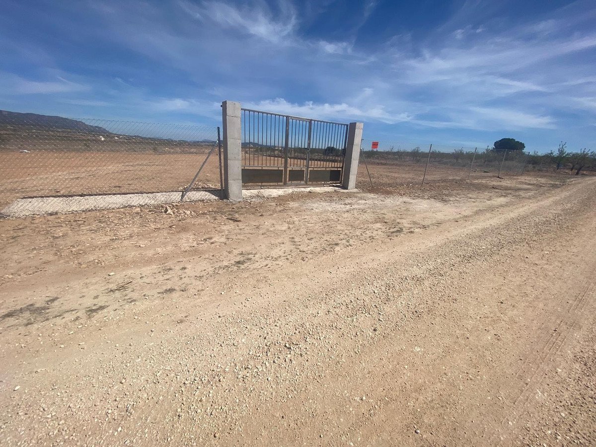 Land in Pinoso