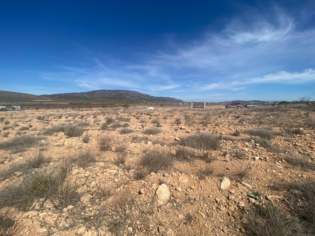 Land in Pinoso
