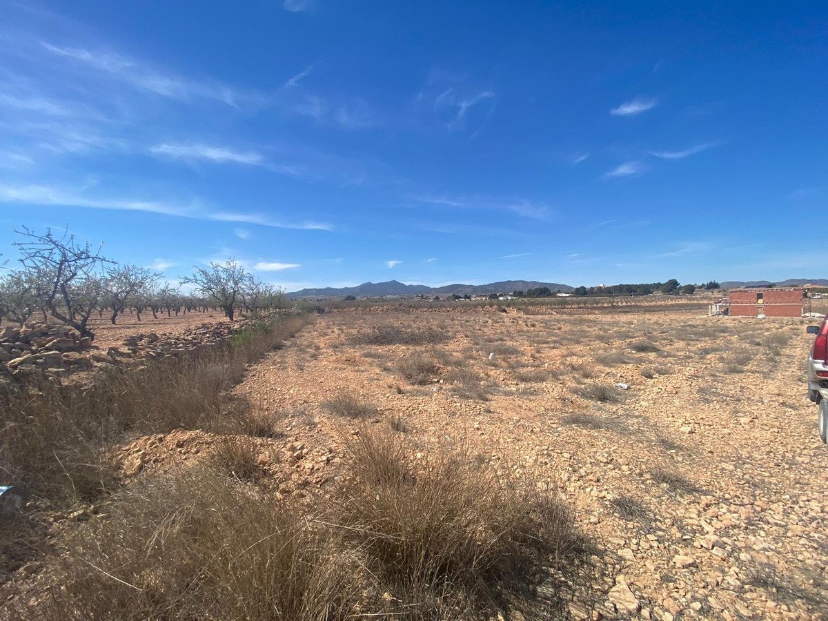 Land in Pinoso