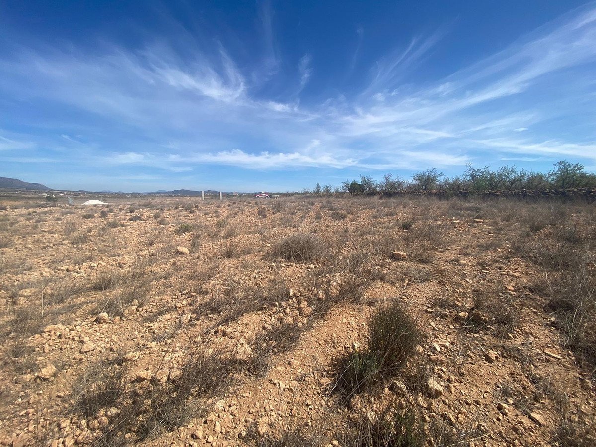 Land in Pinoso