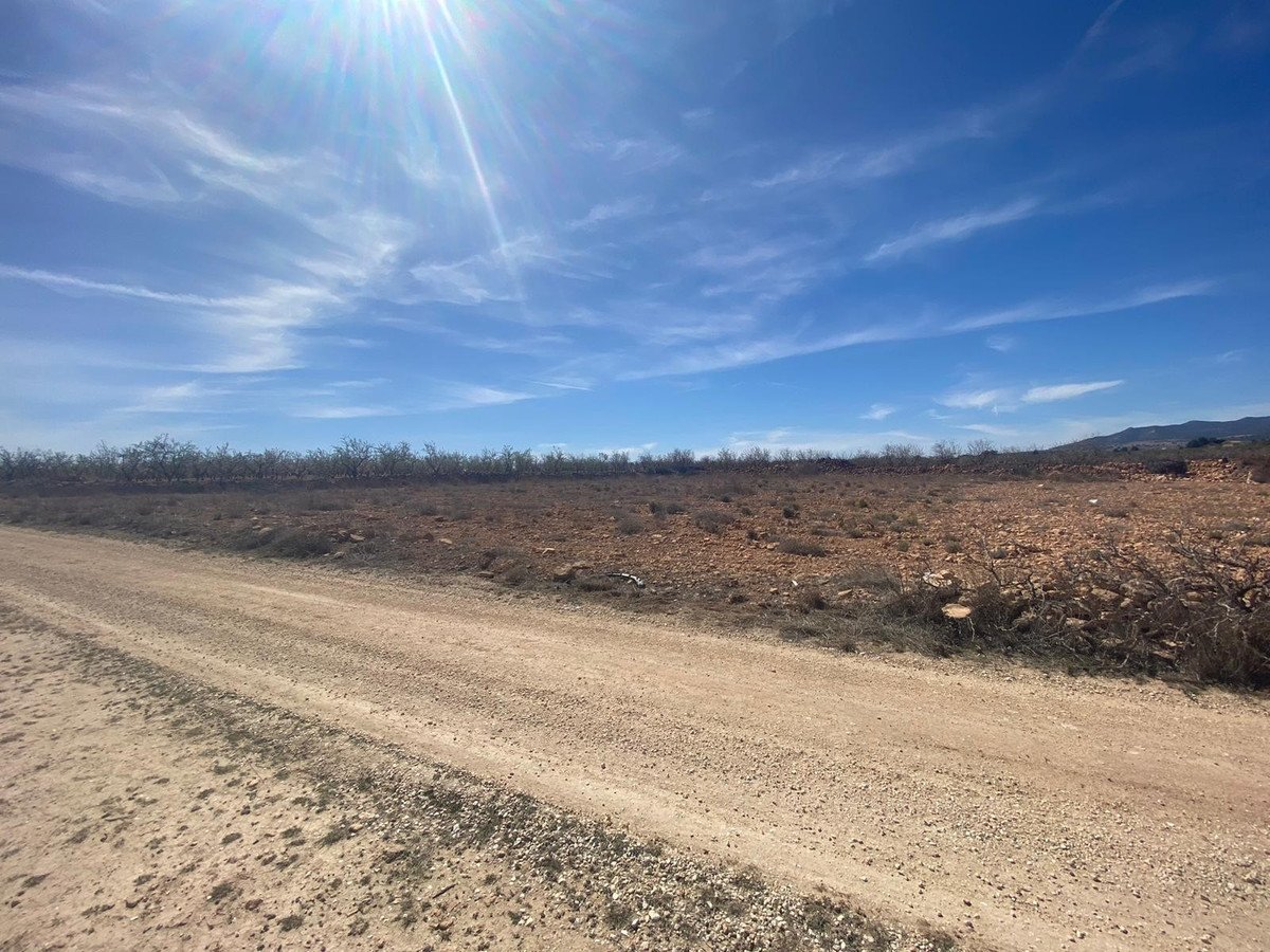 Land in Pinoso