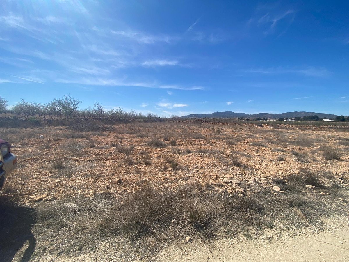 Land in Pinoso