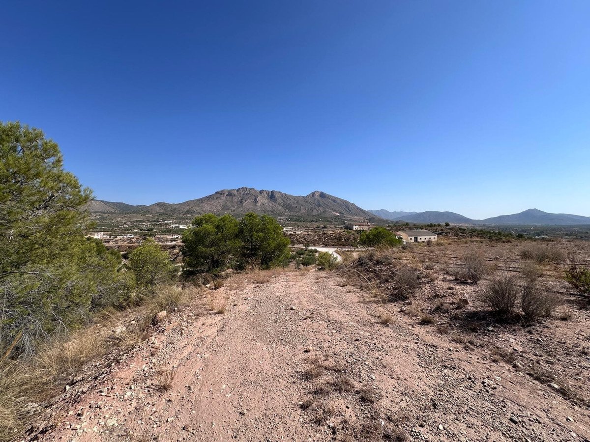 Land in Macisvenda