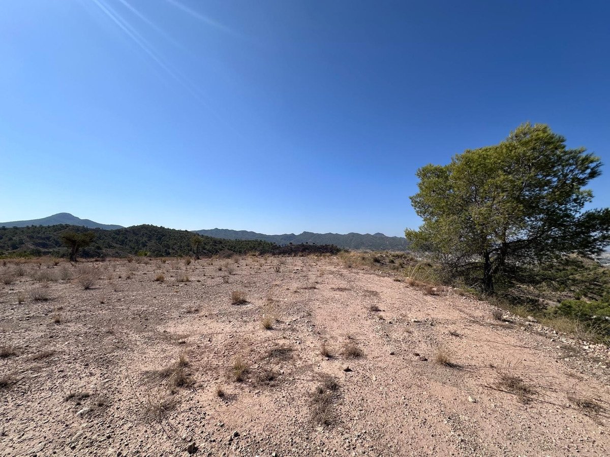Land in Macisvenda