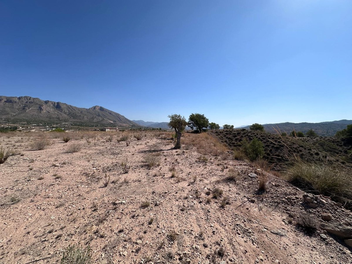 Land in Macisvenda