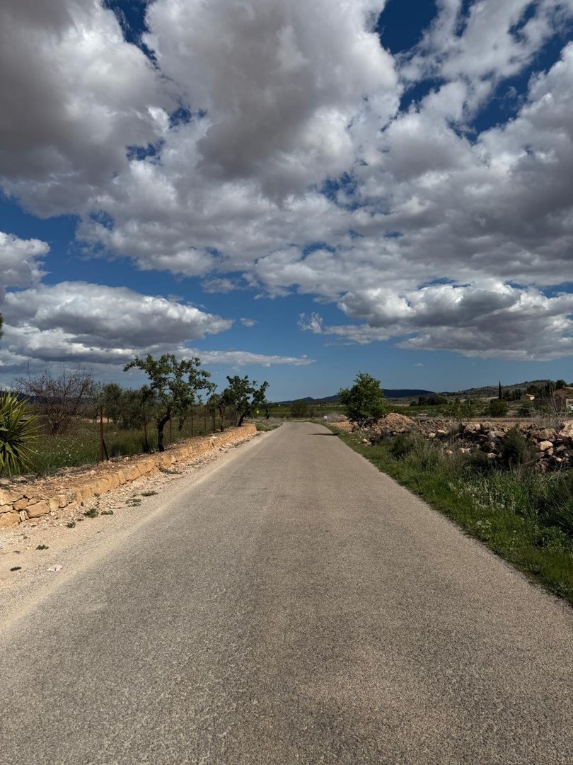 Land in Pinoso