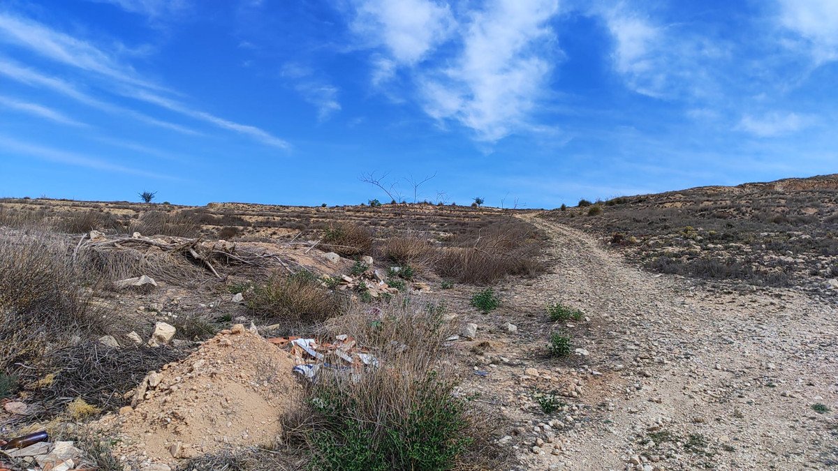 Land in Pinoso