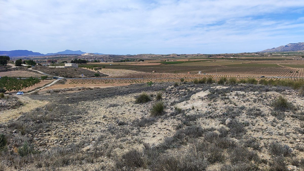 Land in Pinoso