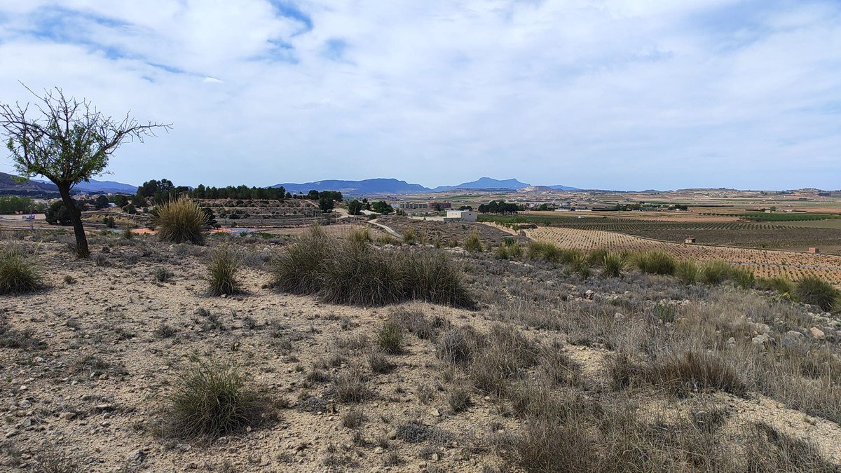 Land in Pinoso