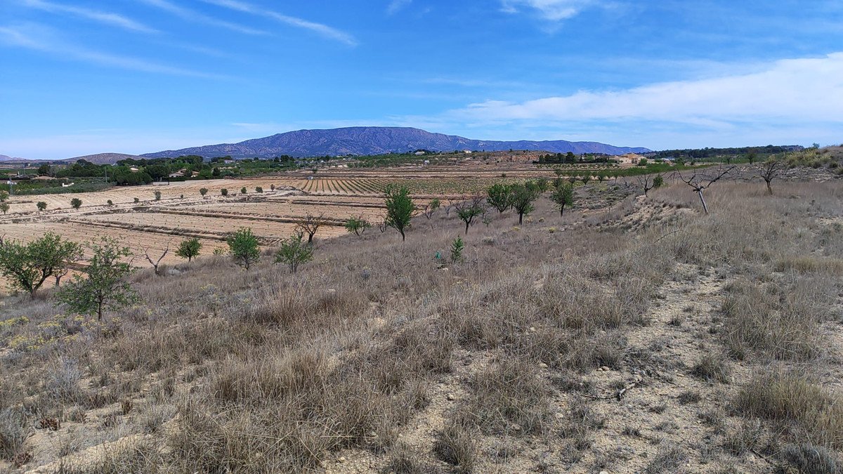 Land in Pinoso