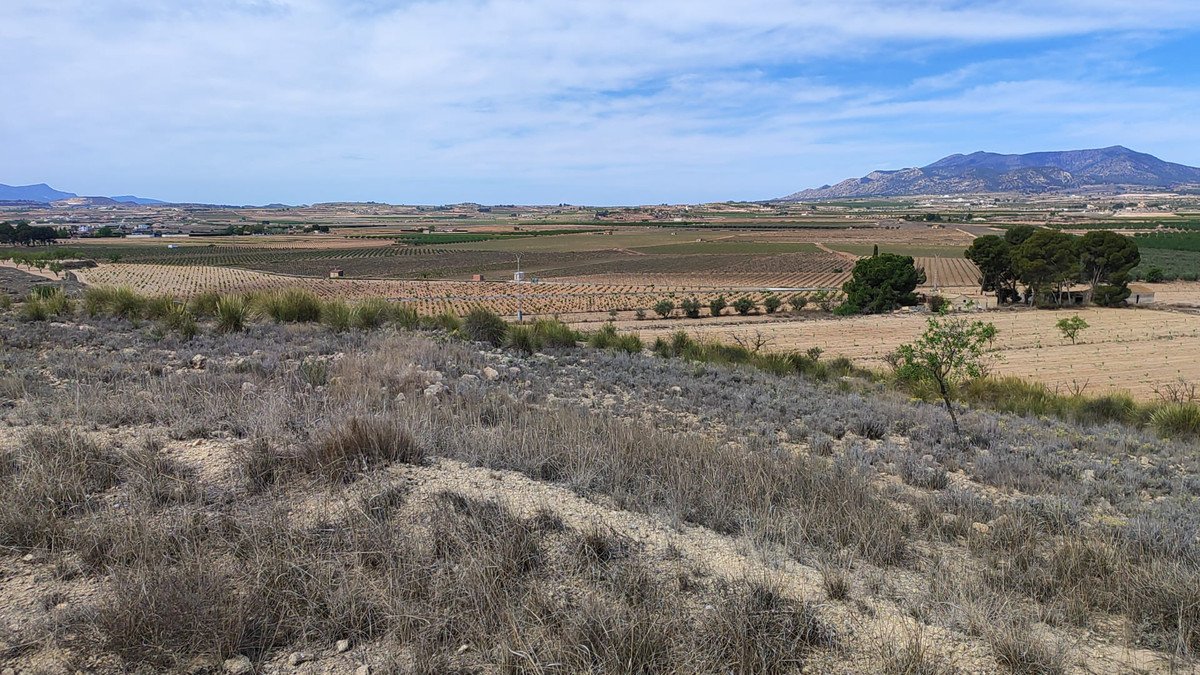 Land in Pinoso