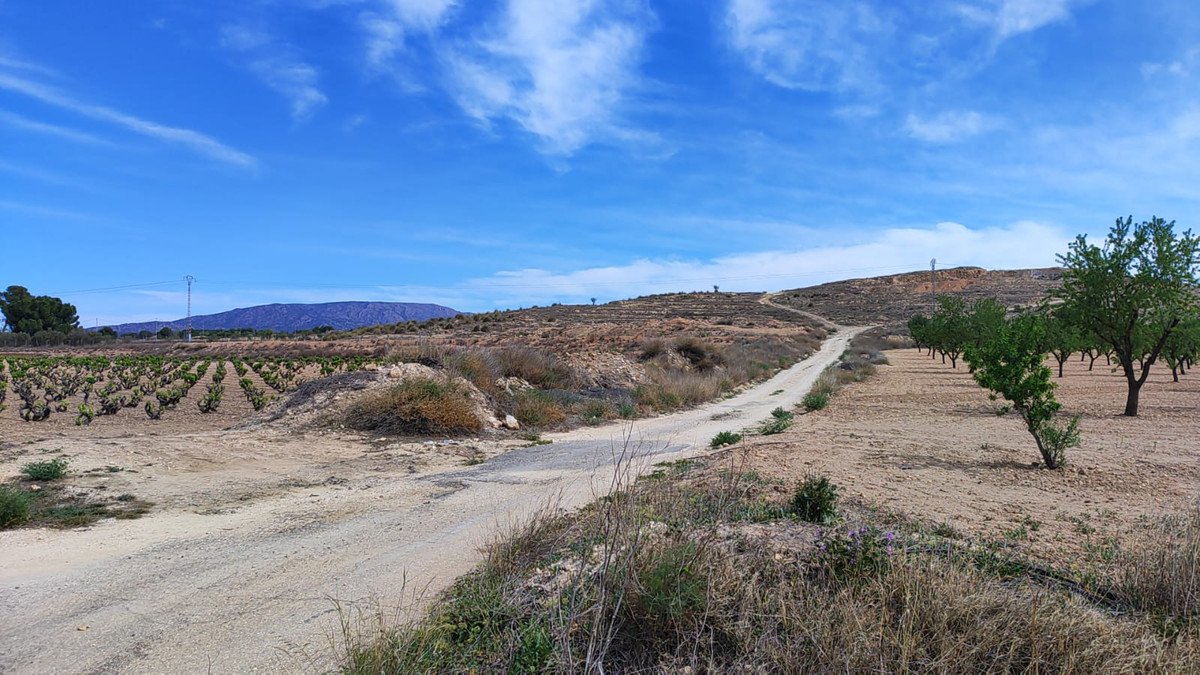 Land in Pinoso