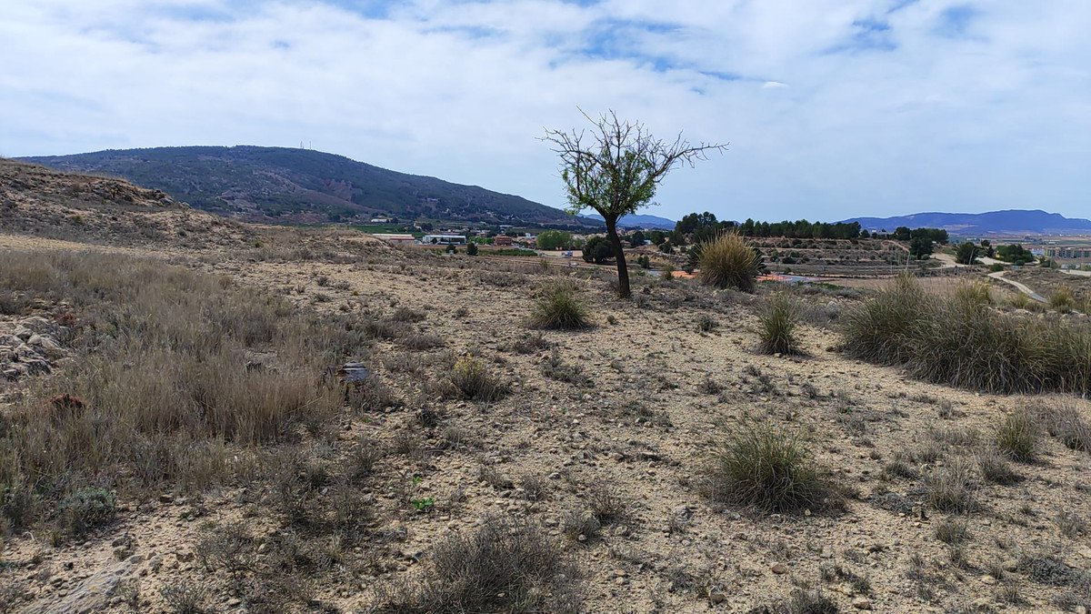 Land in Pinoso