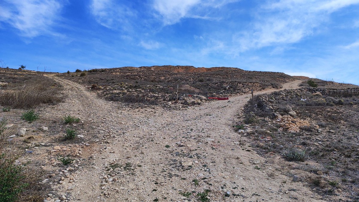 Land in Pinoso