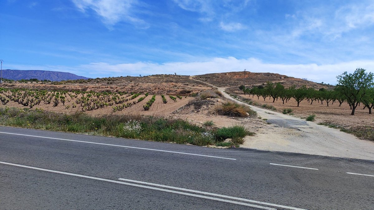 Land in Pinoso