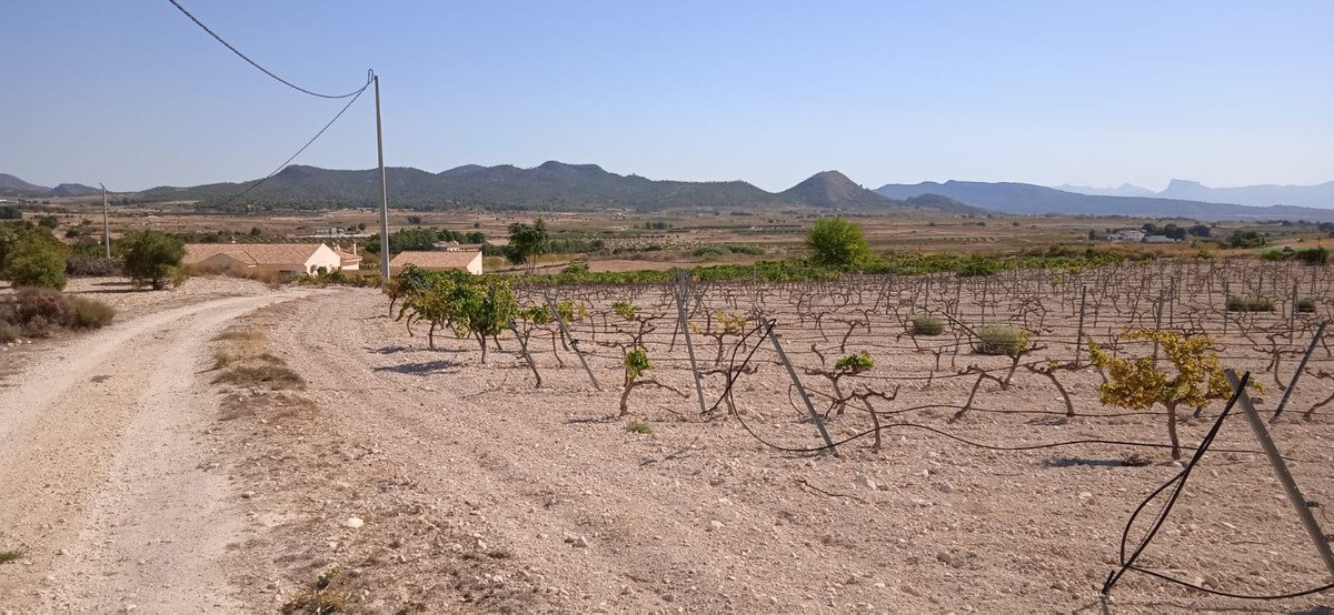 Land in Pinoso