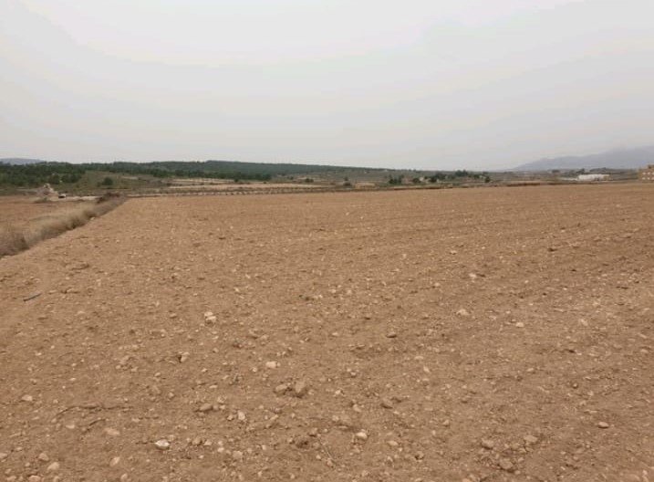 Land in Pinoso