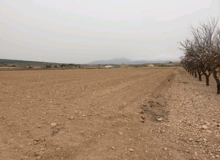 Land in Pinoso