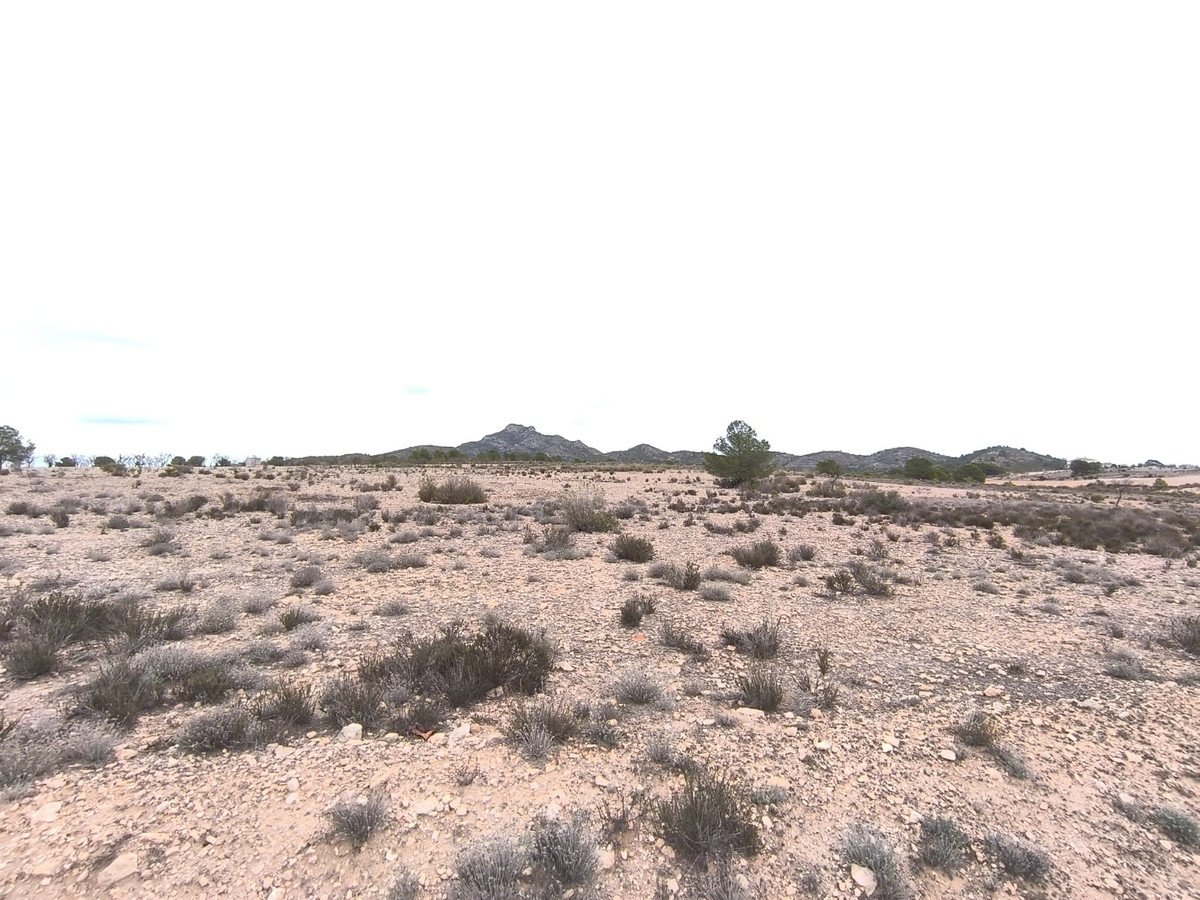 Land in Salinas