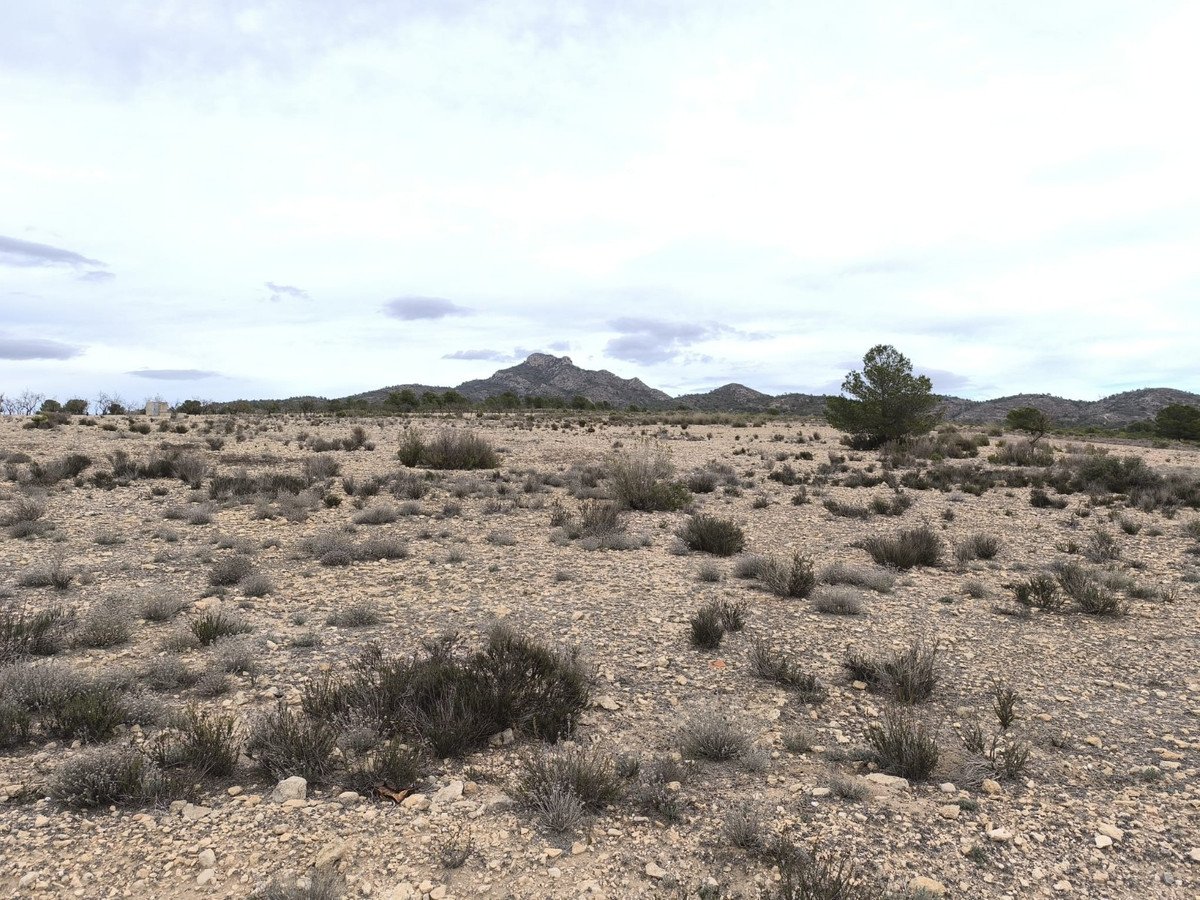 Land in Salinas