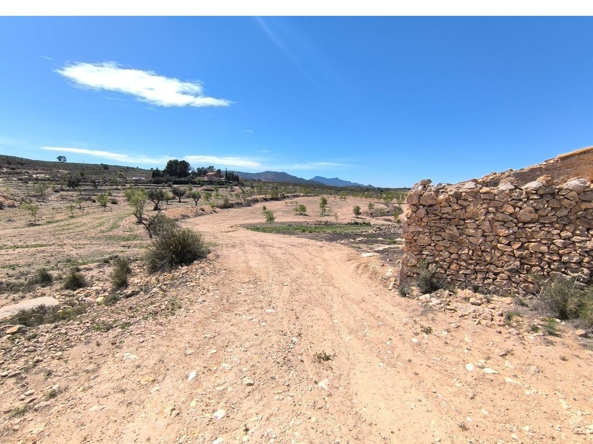2 Bed Finca - Cortijo in El Rodriguillo