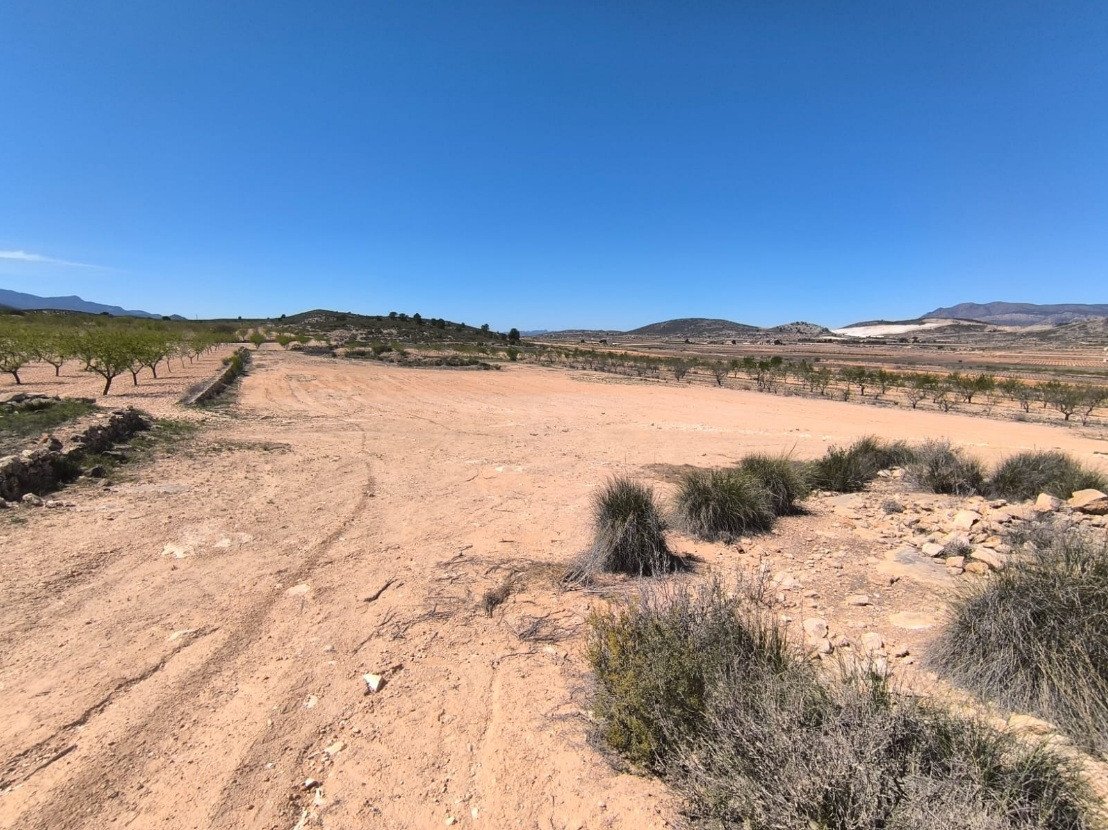 2 Bed Finca - Cortijo in El Rodriguillo