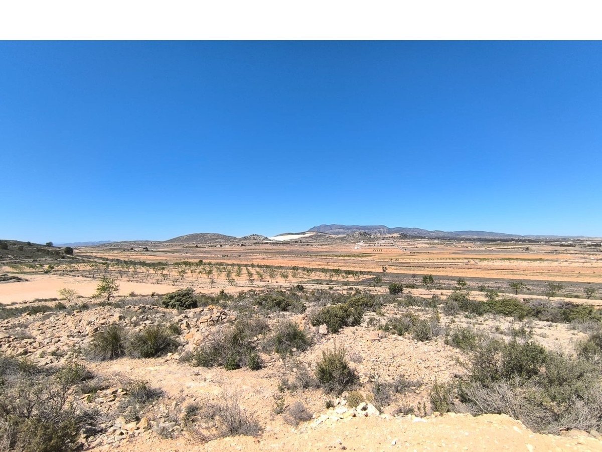 2 Bed Finca - Cortijo in El Rodriguillo