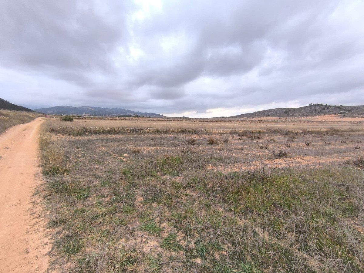 Land in La Solana