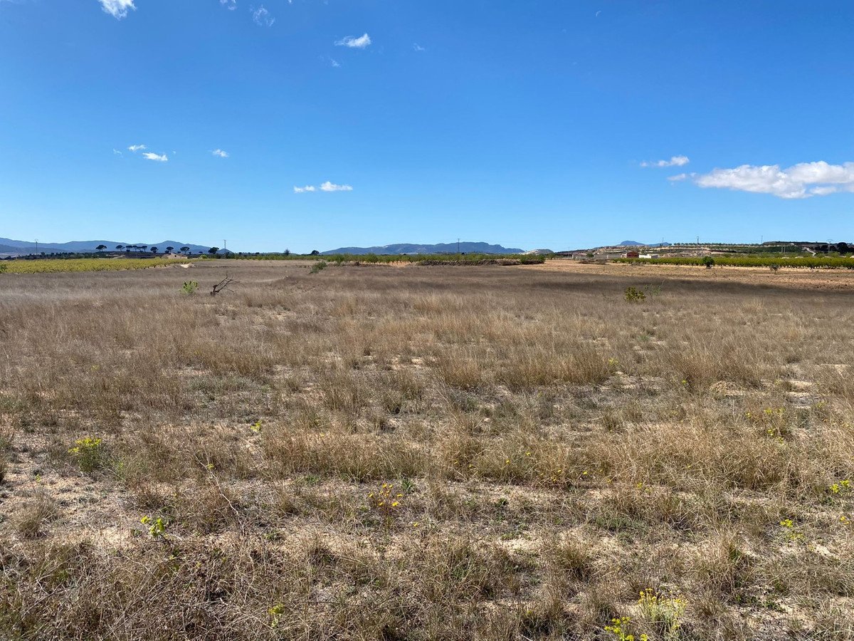 Land in Pinoso