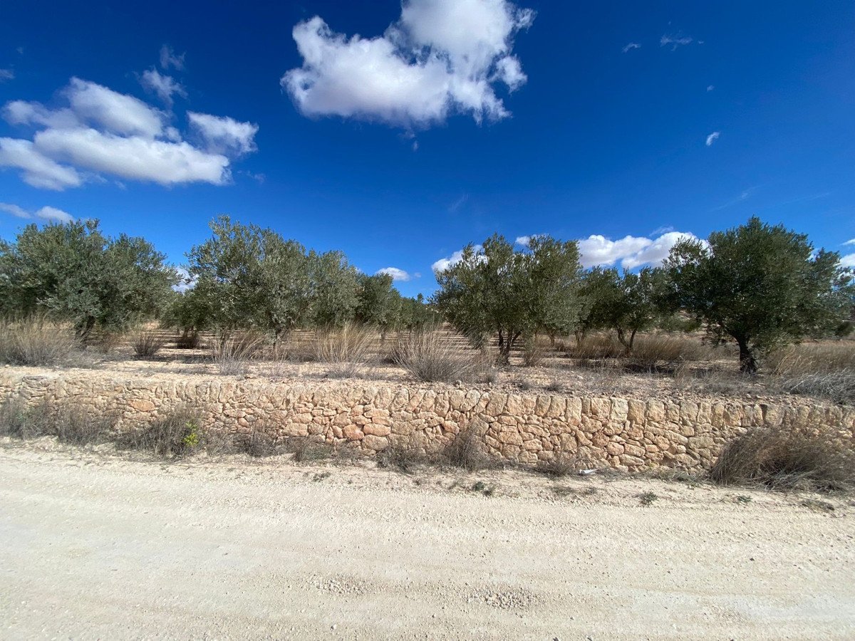 Land in Pinoso