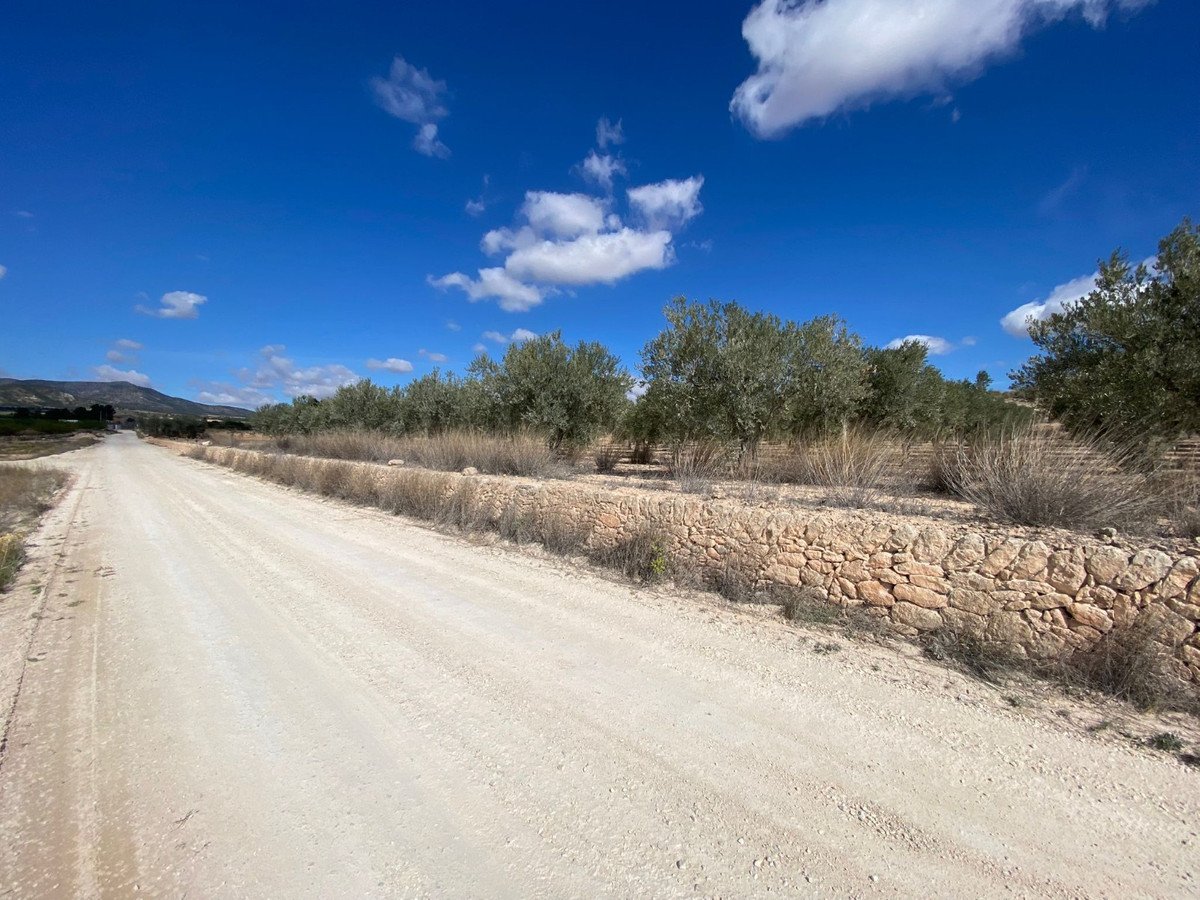 Land in Pinoso
