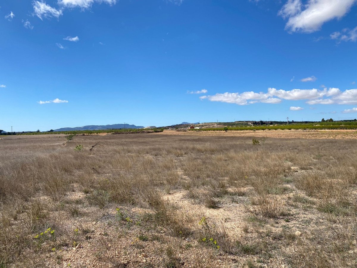 Land in Pinoso