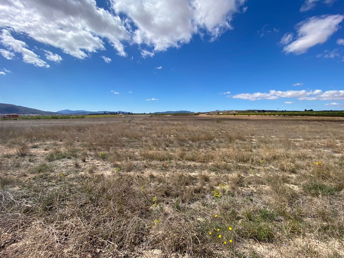 Land in Pinoso