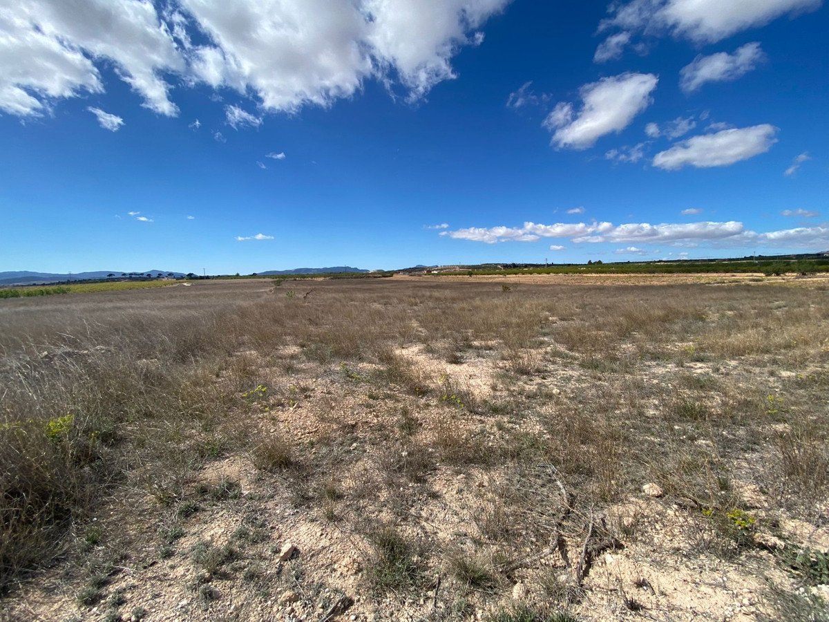 Land in Pinoso